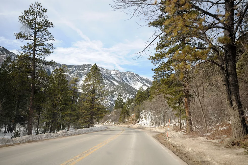 This is the image alt