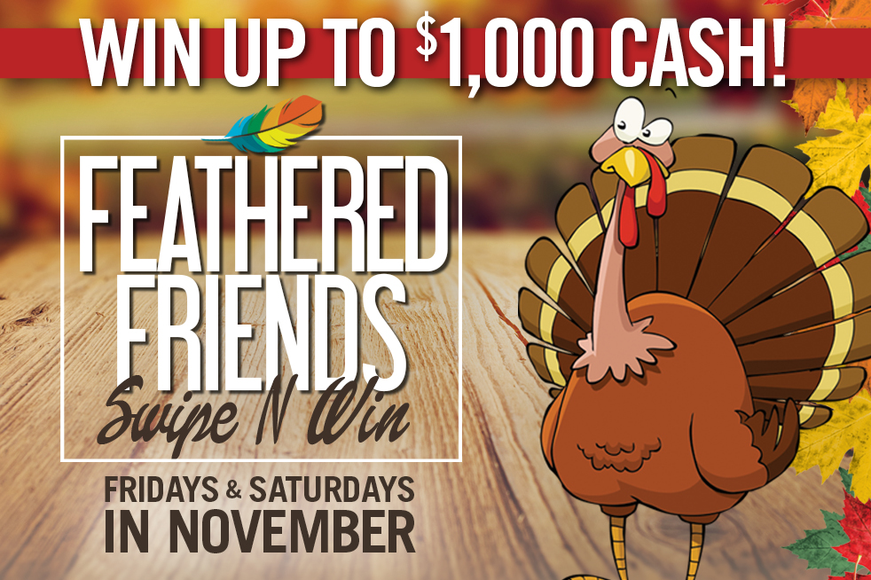 Feathered Friends Swipe N Win