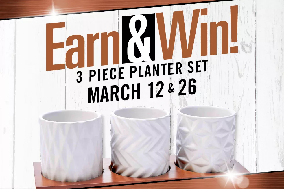 Earn & Win 3 Piece Planter Set; Silverton Casino; Silverton Rewards