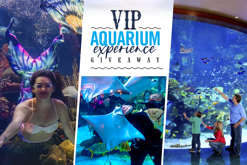 VIP Aquarium Experience Giveaway