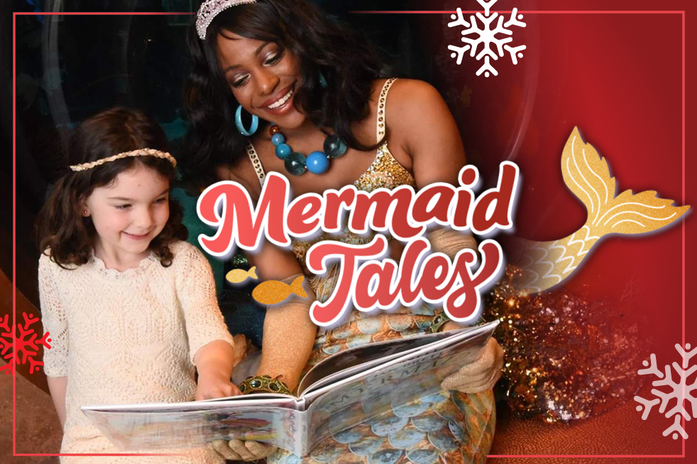 Mermaid Tales