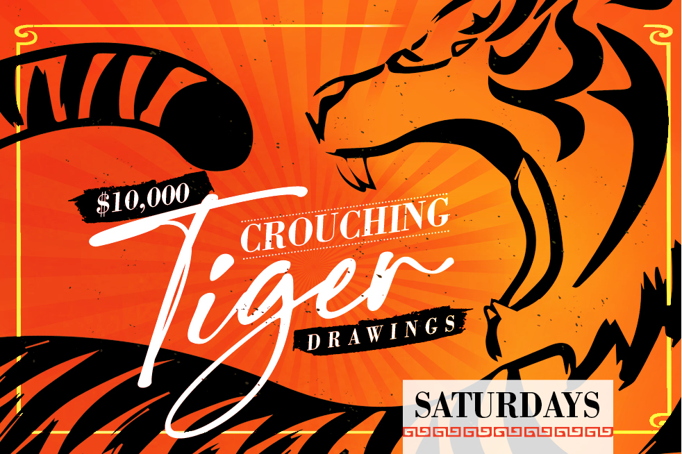 Crouching Tiger Drawings