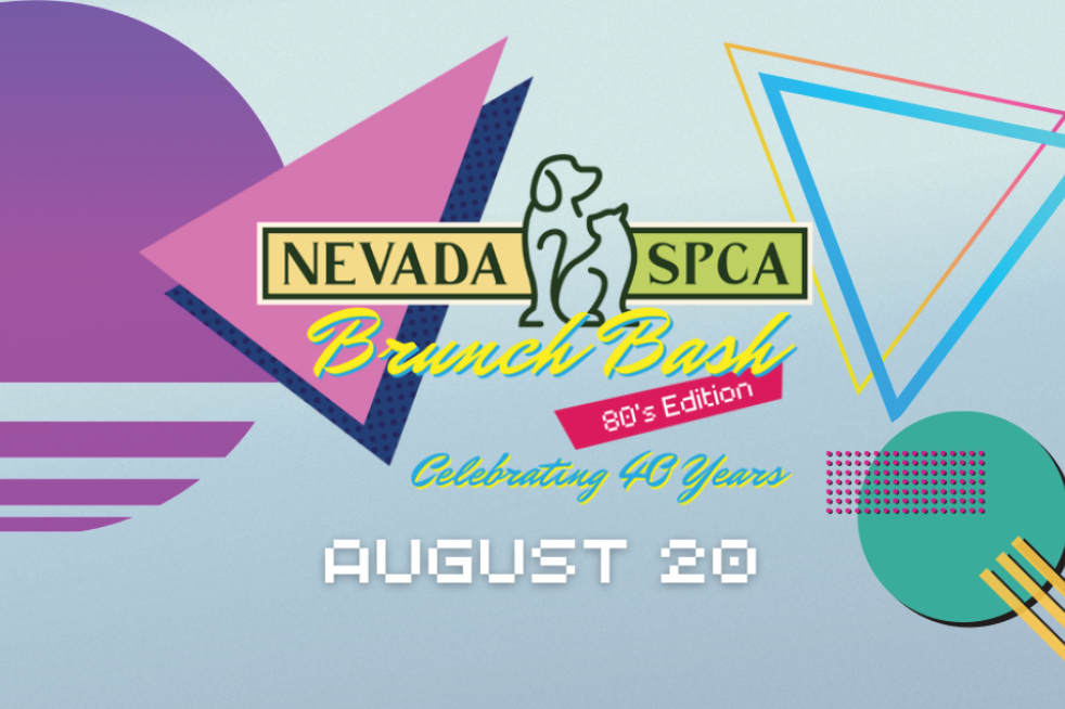 Nevada Spca Brunch Bash Veil Pavillion