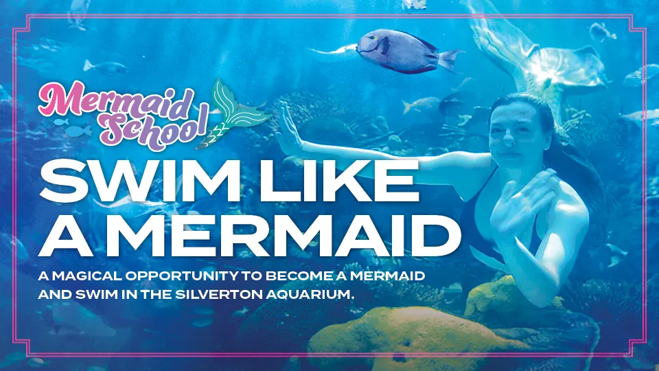 Mermaid School