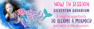 Mermaid School for Kids