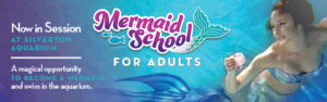 Mermaid School for Adults