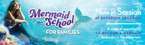 Mermaid School for Families