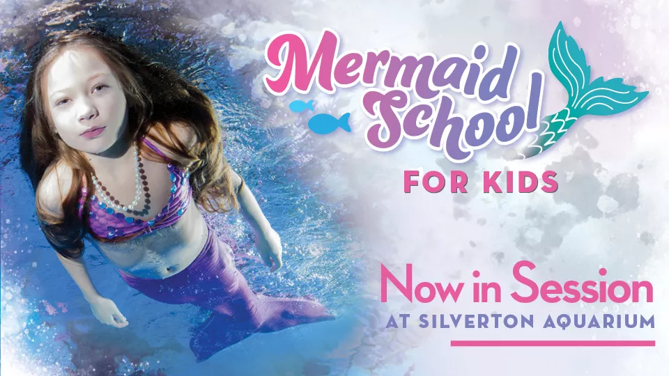Mermaid School for Kids
