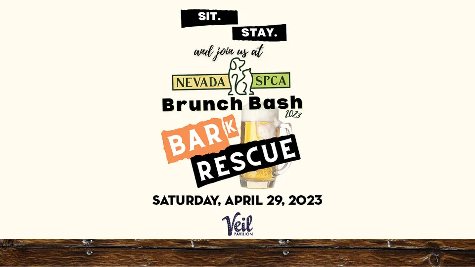 NSPCA Brunch Bash
