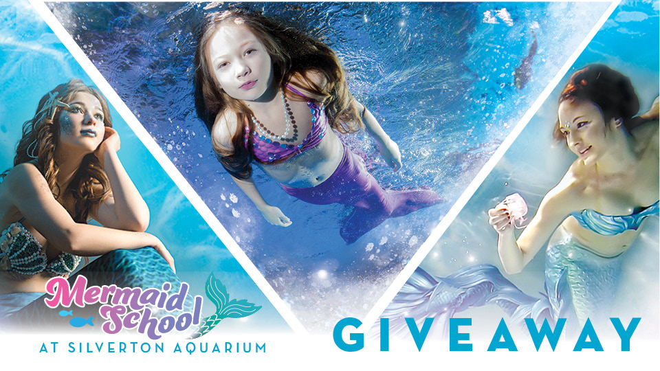 Mermaid School Giveaway