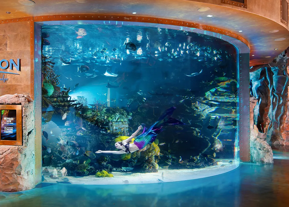 Aquarium; Silverton Casino Lodge
