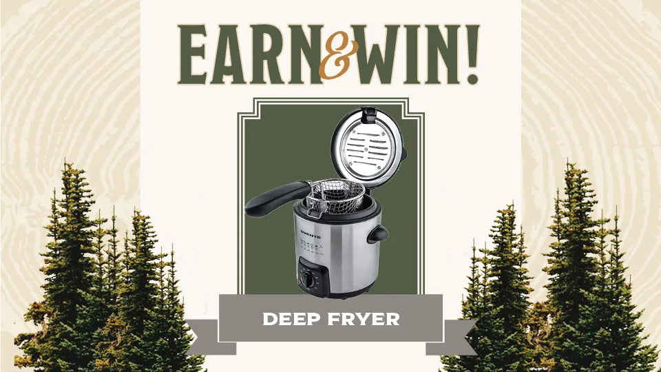 Earn and win, deep fryer