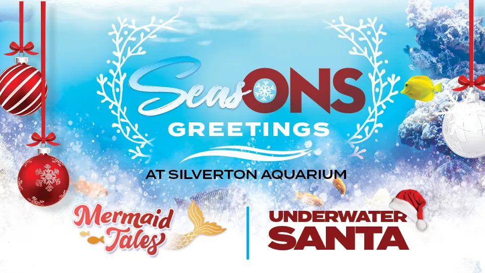 Seasons Greetings at Silverton Aquarium