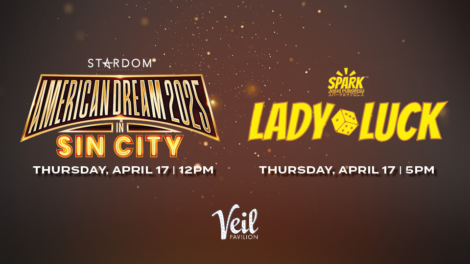 SJPA Entertainment Spark Joshi Las Vegas