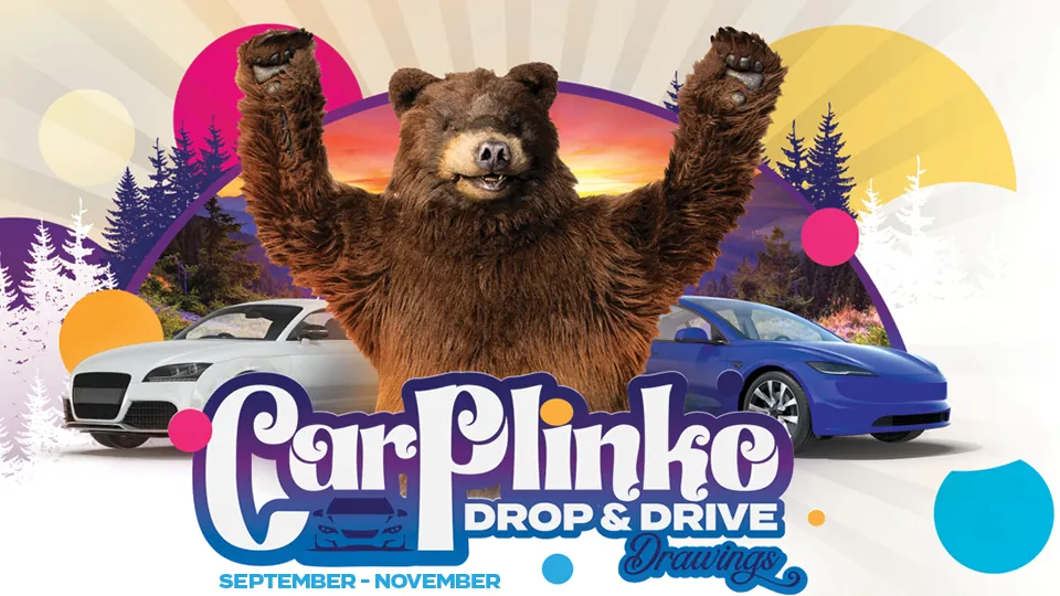 CarPlinko Drop & Drive Drawings