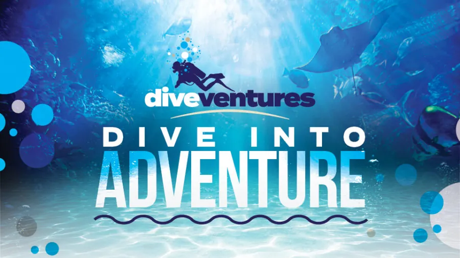 Dive Ventures at Silverton Aquarium