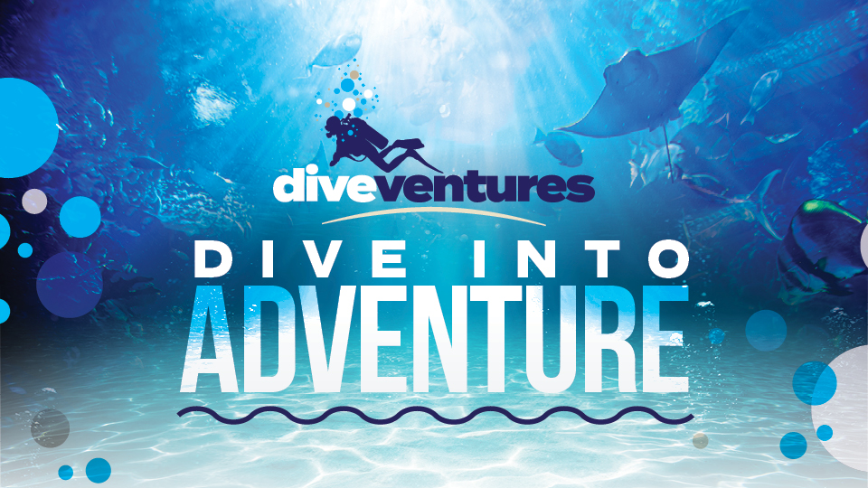 Dive Ventures at Silverton Aquarium