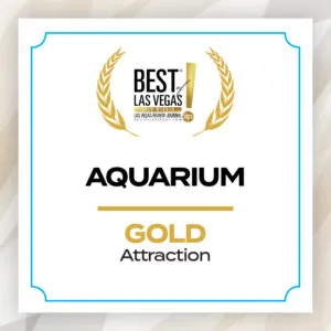 Best of Las Vegas 2025; Aquarium; Gold; Attraction