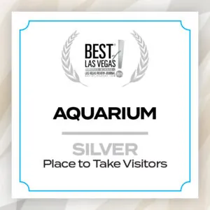Best of Las Vegas 2025; Aquarium; Silver; Place to Take Visitors
