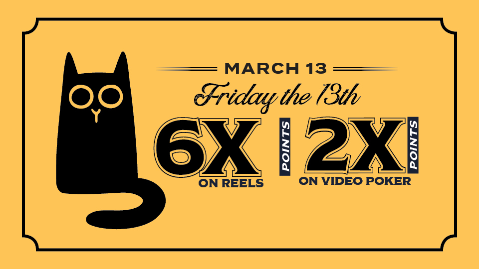 Friday the 13th point multiplier at Silverton Casino, photo of black cat