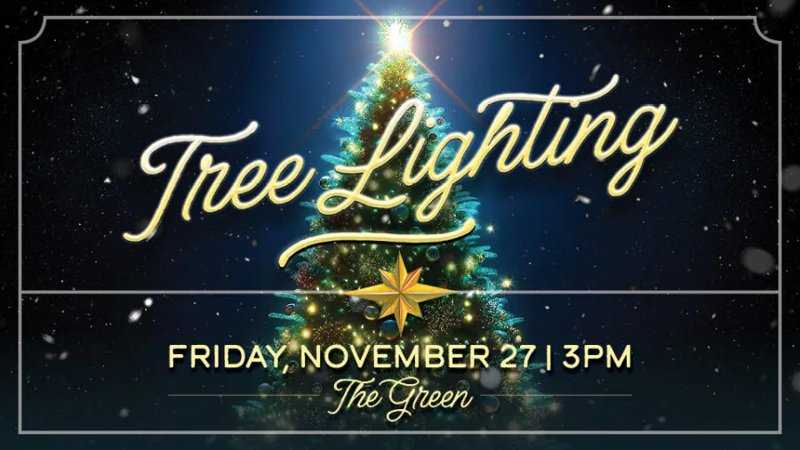 Tree Lighting